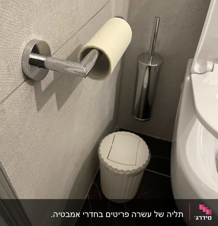 מתקן נייר טואלט ריק ליד מברשת אסלה